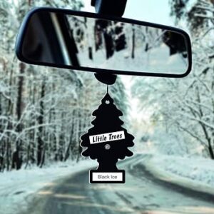 Little Trees Black Ice Air Freshener for car